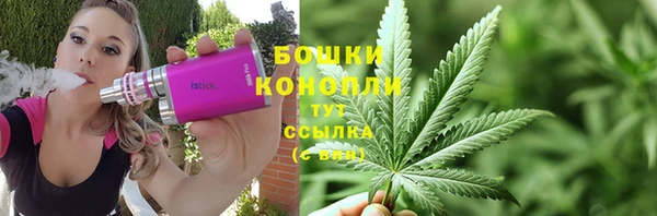 ПСИЛОЦИБИНОВЫЕ ГРИБЫ Коряжма