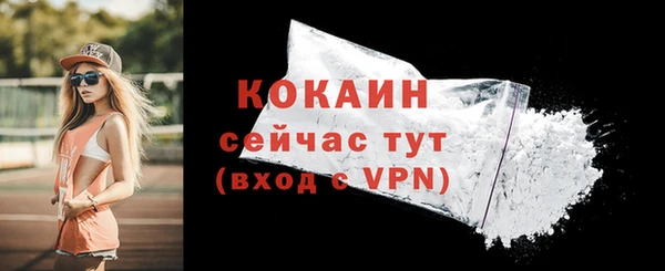 ПСИЛОЦИБИНОВЫЕ ГРИБЫ Коряжма