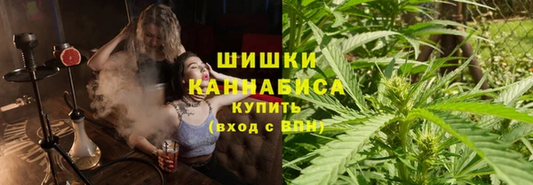 apvp Костерёво