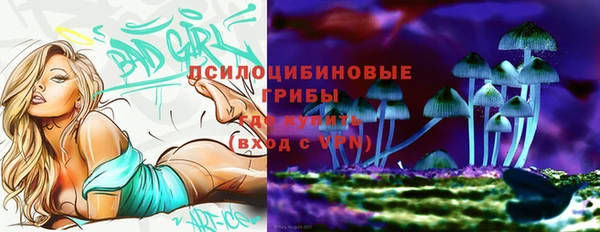 apvp Корсаков