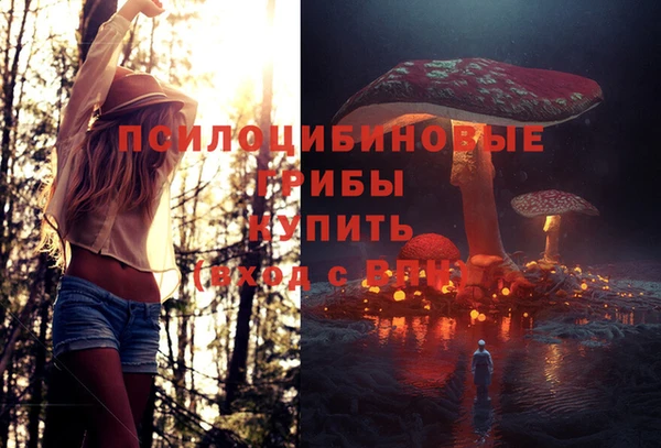 apvp Корсаков