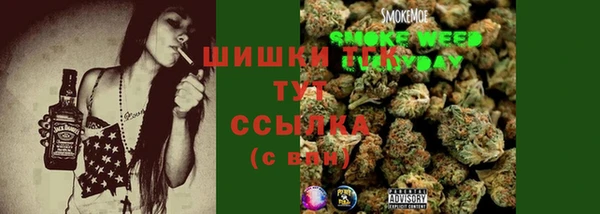apvp Костерёво