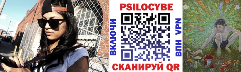 Купить закладки  Ипатово  Псилоцибиновые грибы MAGIC MUSHROOMS 